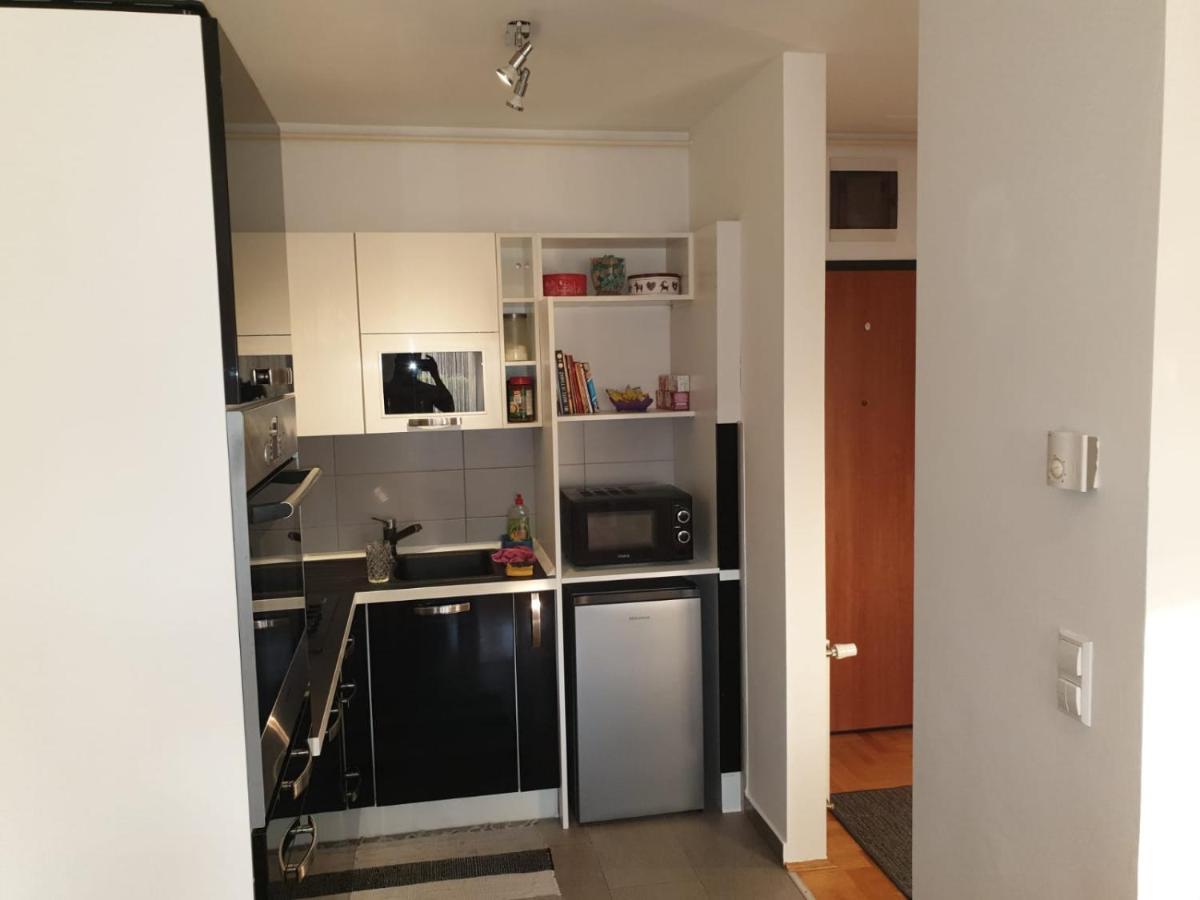 Apartman Dzakula ザグレブ エクステリア 写真